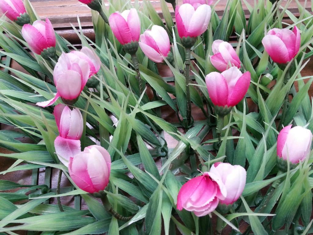 Pink Tulip Hotel Cidade de Ho Chi Minh Exterior foto